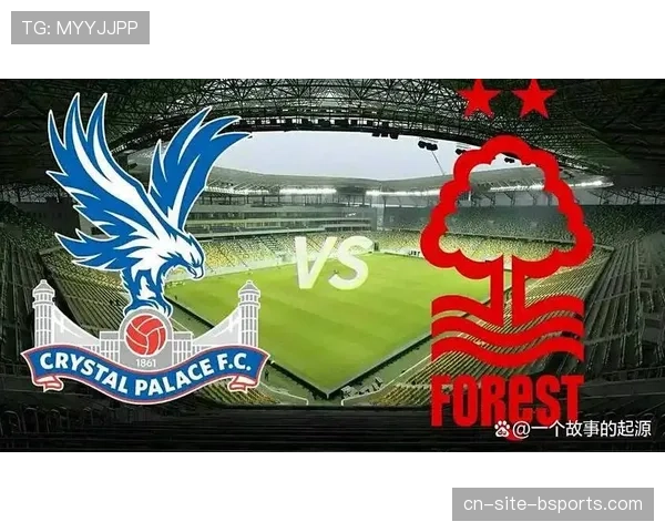 英超球队水晶宫成赛季黑马 12轮后5胜5平2负跻身前五行列